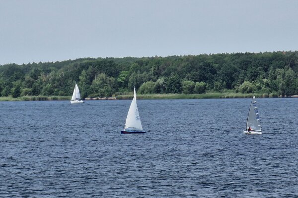 Jubiläumsregatta 2023