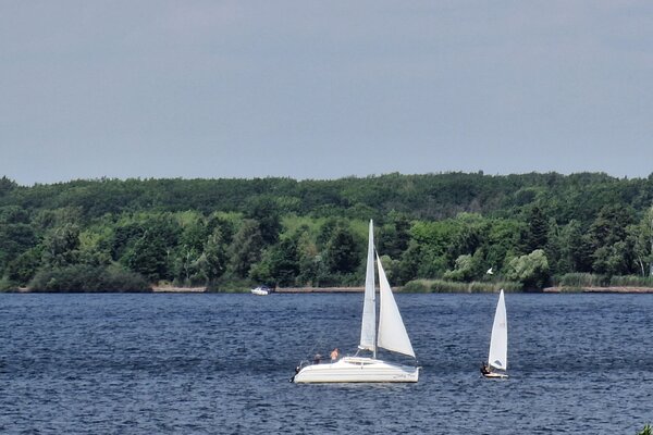 Jubiläumsregatta 2023
