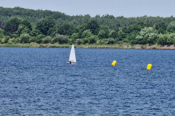 Jubiläumsregatta 2023