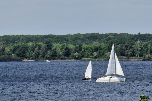 Jubiläumsregatta 2023