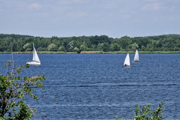 Jubiläumsregatta 2023