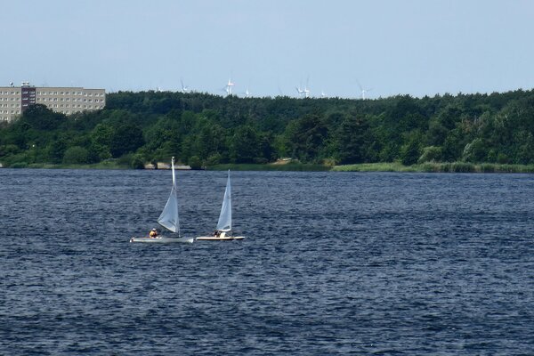 Jubiläumsregatta 2023