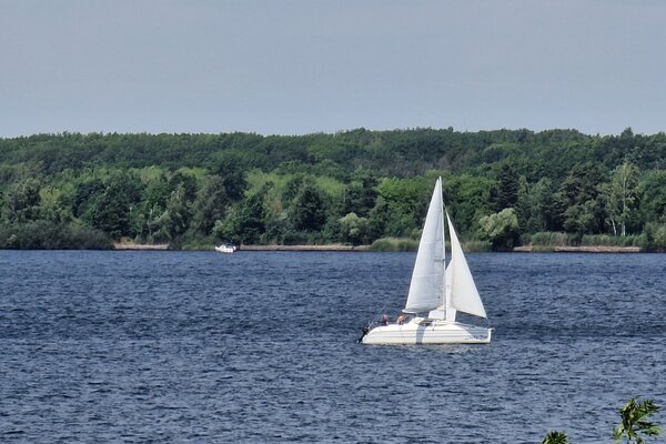 Jubiläumsregatta 2023