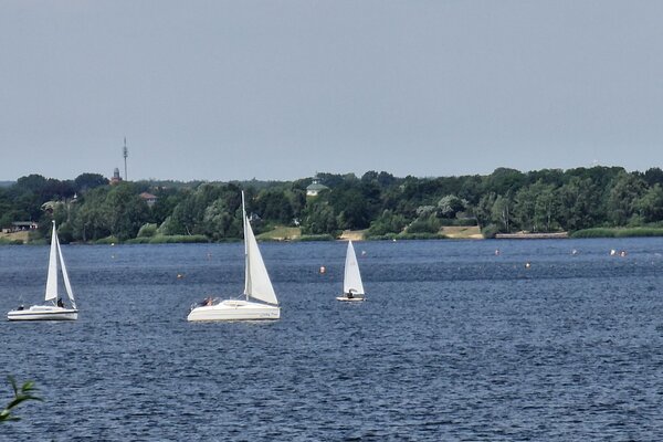 Jubiläumsregatta 2023