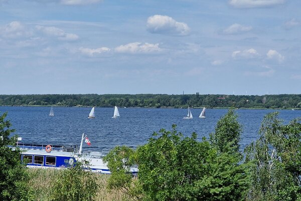 Jubiläumsregatta 2023