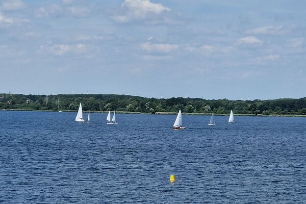 Jubiläumsregatta 2023