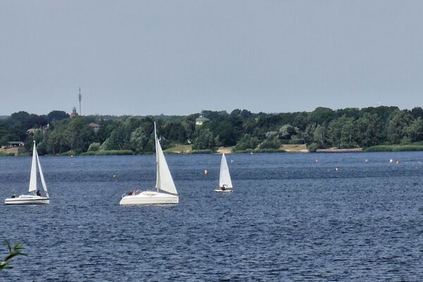 Jubiläumsregatta 2023