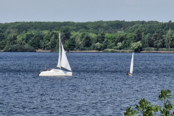 Jubiläumsregatta 2023