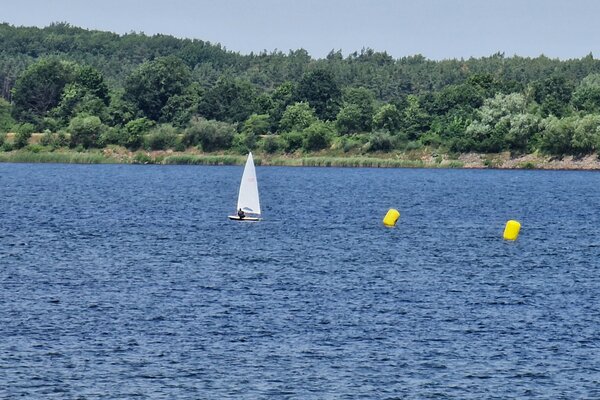 Jubiläumsregatta 2023