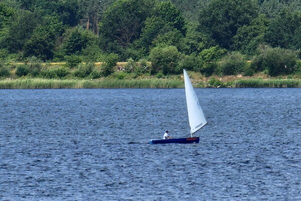 Jubiläumsregatta 2023