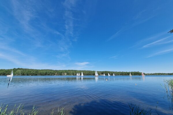 Jubiläumsregatta 2023