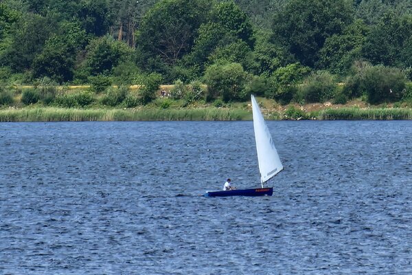 Jubiläumsregatta 2023