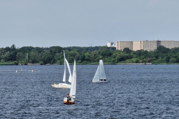 Jubiläumsregatta 2023