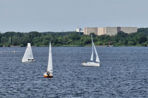 Jubiläumsregatta 2023