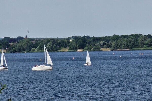 Jubiläumsregatta 2023