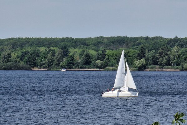 Jubiläumsregatta 2023