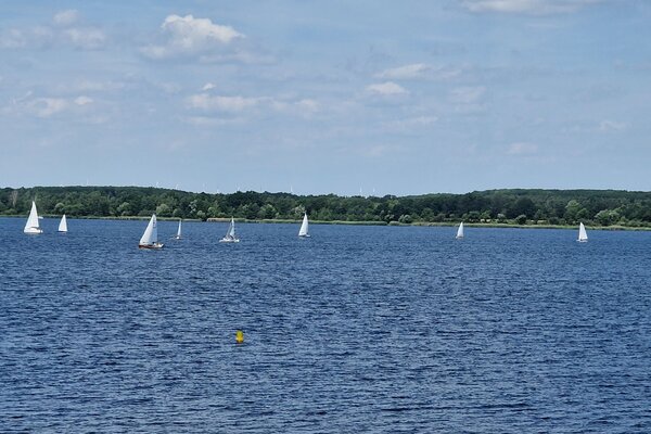 Jubiläumsregatta 2023