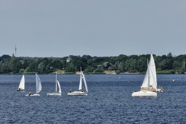 Jubiläumsregatta 2023