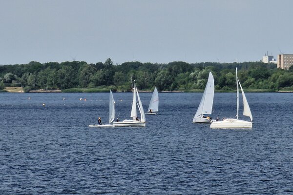 Jubiläumsregatta 2023