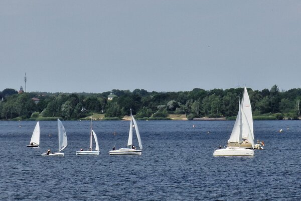Jubiläumsregatta 2023