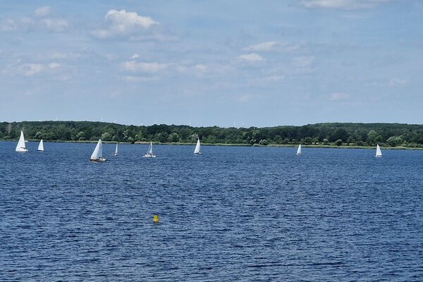 Jubiläumsregatta 2023