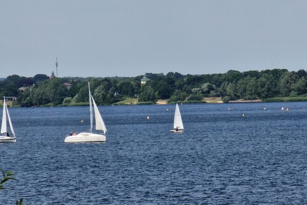 Jubiläumsregatta 2023
