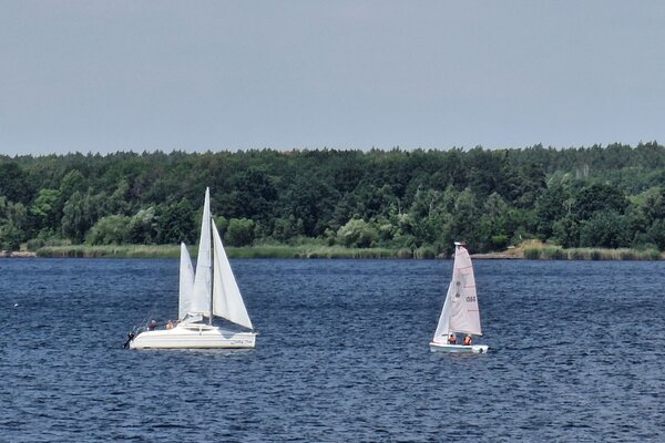 Jubiläumsregatta 2023