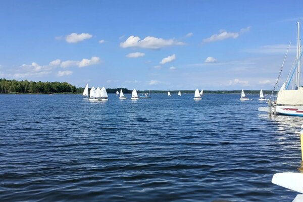 Segelcamp 2025