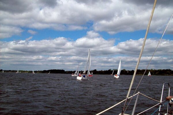Traditionsregatta 2010