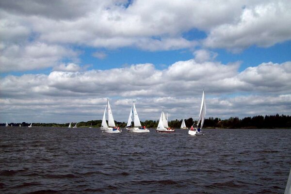 Traditionsregatta 2010