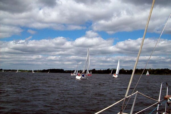 Traditionsregatta 2010