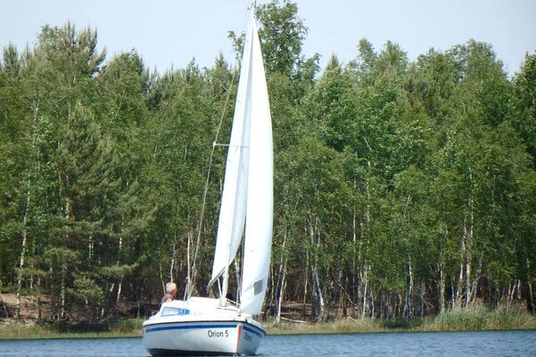 Traditionsregatta 2015