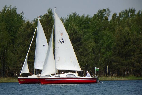 Traditionsregatta 2015