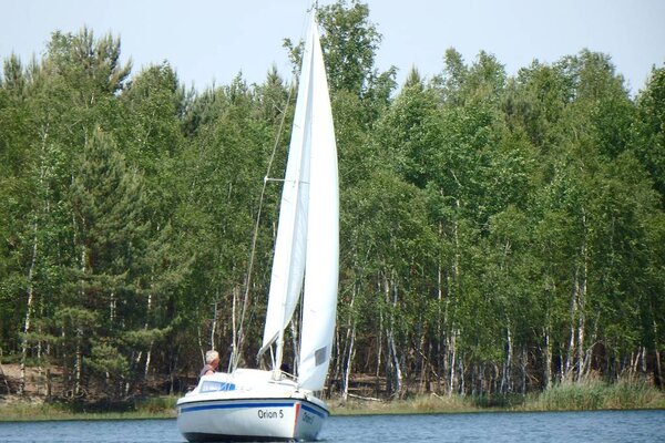 Traditionsregatta 2015