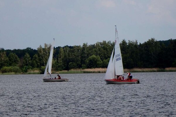 Traditionsregatta 2016