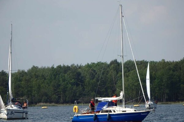 Traditionsregatta 2016