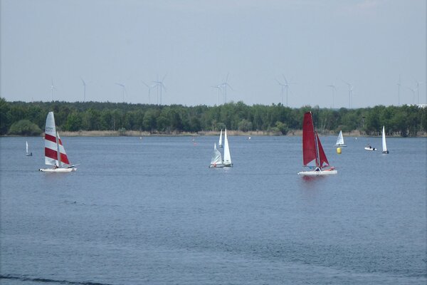 Traditionsregatta 2021