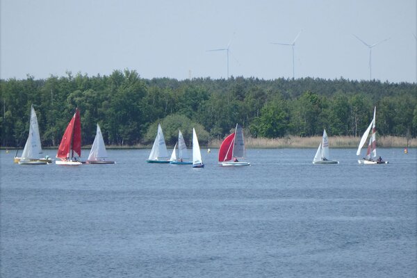 Traditionsregatta 2021