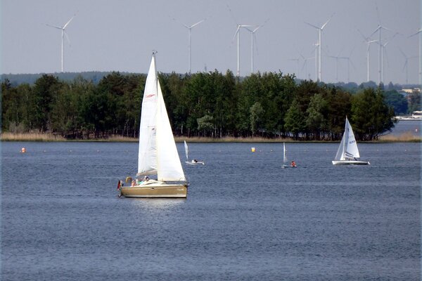 Traditionsregatta 2021