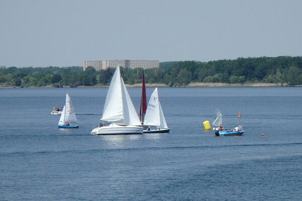 Traditionsregatta 2021