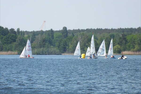 Traditionsregatta 2021