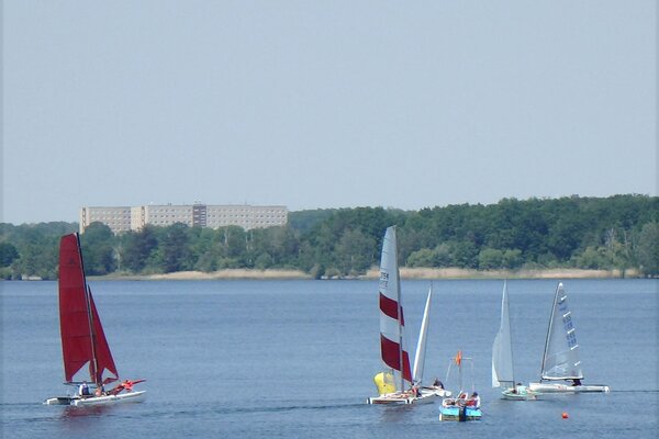 Traditionsregatta 2021