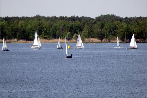 Traditionsregatta 2021