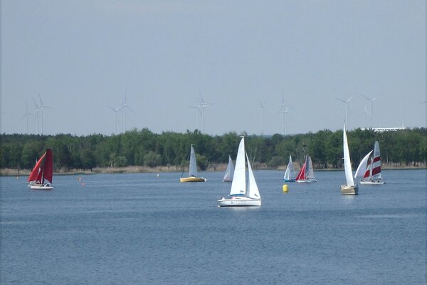 Traditionsregatta 2021