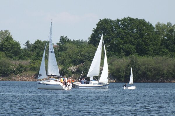 Traditionsregatta 2021