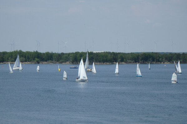 Traditionsregatta 2021