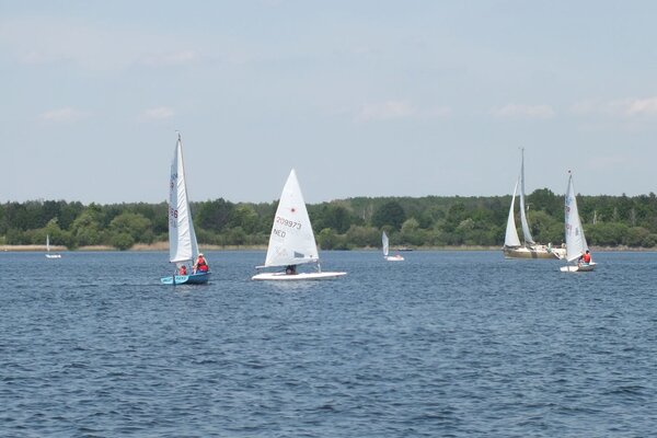 Traditionsregatta 2021