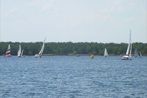 Traditionsregatta 2021