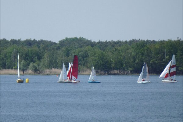Traditionsregatta 2021