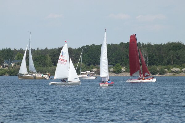 Traditionsregatta 2021